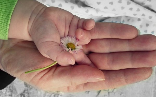 önsegélyező_pénztár_kezek