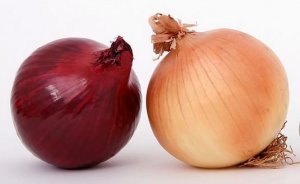 tojásfestéshez_hagyma